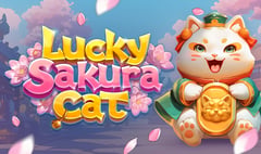 Air Dice - Lucky Sakura Cat Dice