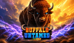 Betixon - Buffalo Untamed Dice