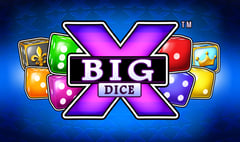Synot - Big X Dice