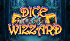 CT Interactive - Dice Wizzard